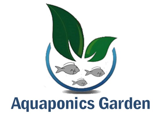 Aquaponics Garden